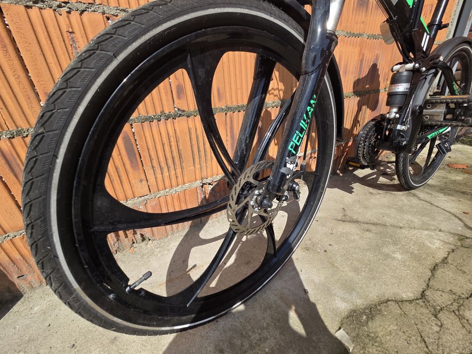 Rower Pelikan sport