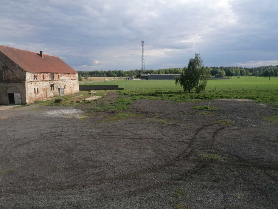 Wynajmę budynek 283 m² + plac przy DK25 | Drołtowice / Syców