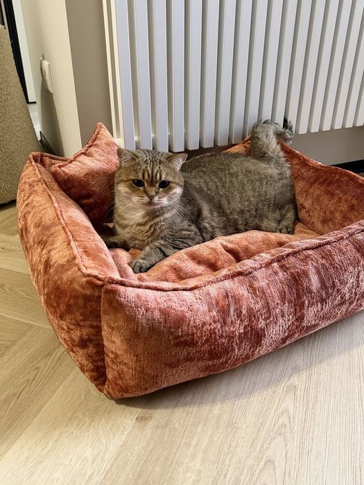 Лежанки для собак і котів