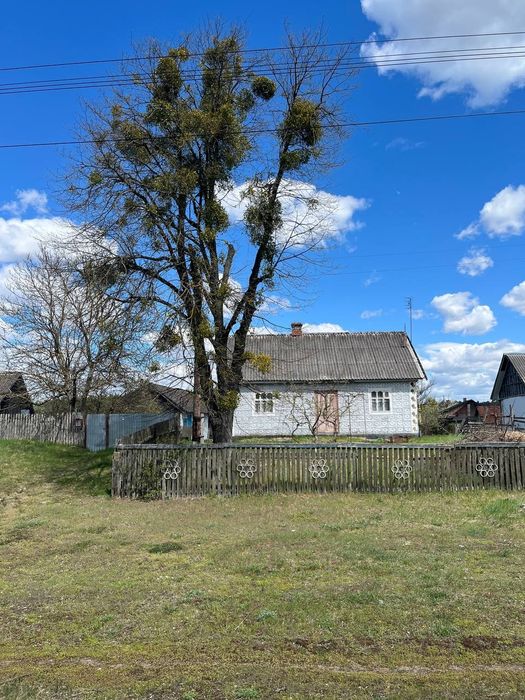 Житловий будинок с. Цвітоха