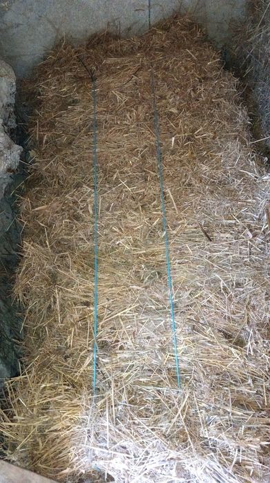 Fardos de palha pequenos