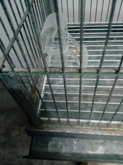 Gaiola  para Passaros