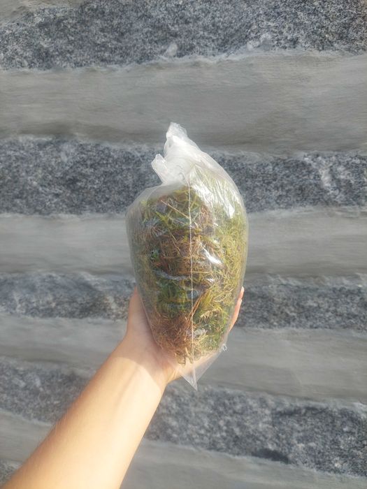Musgo Sphagnum Moss 3L