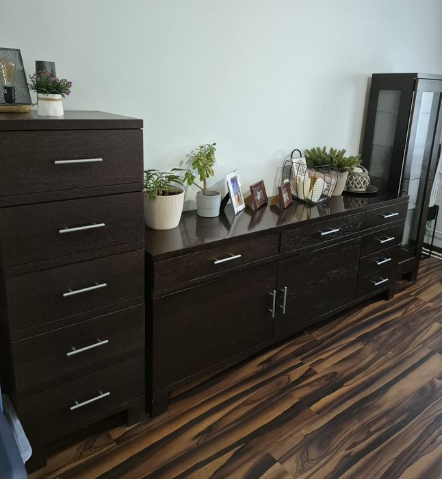 Meble do salonu wenge