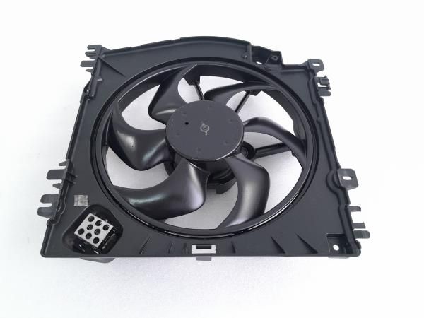 Termoventilador / motoventilador RENAULT Clio III (BR0/1, CR0/1)