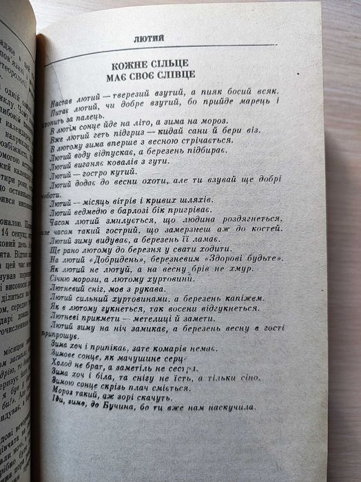 Скуратівський В. Вінець / 1994