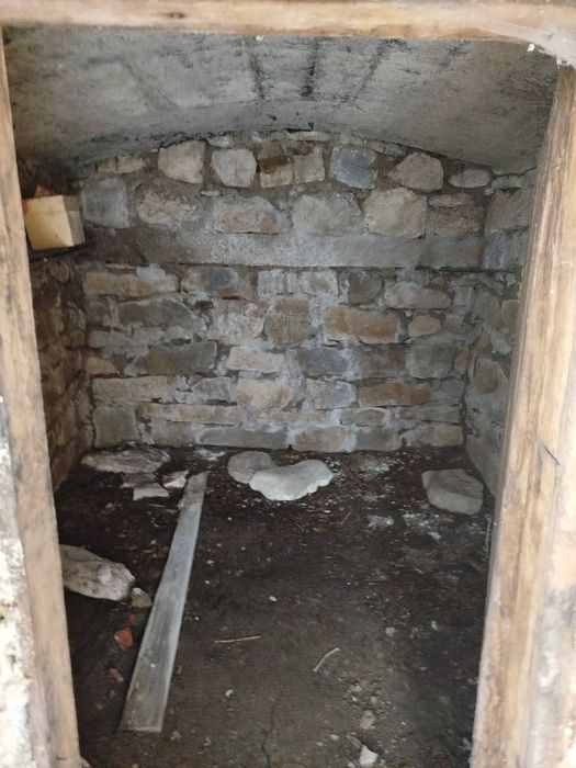 Будинок в Карпатах