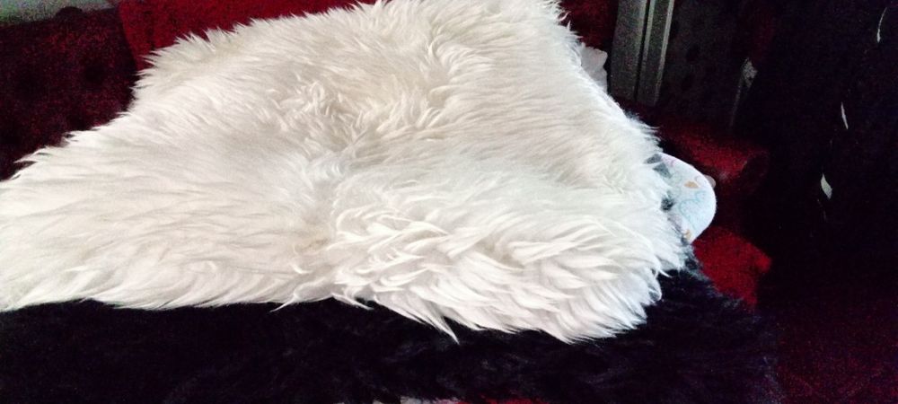 Fabulosos tapetes em pele