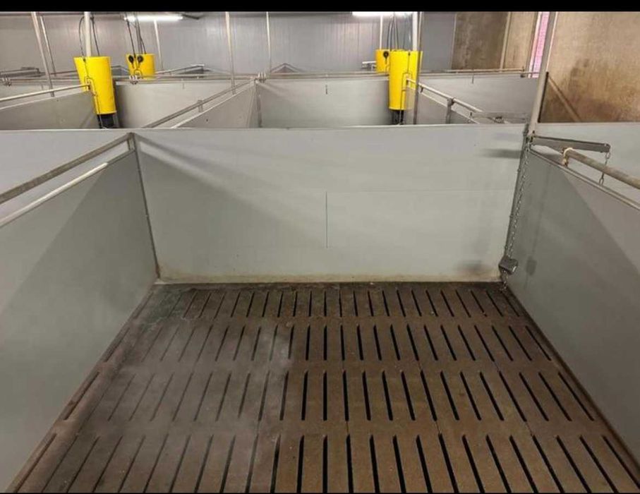 Обладнання для свинарства, пвх перегородки