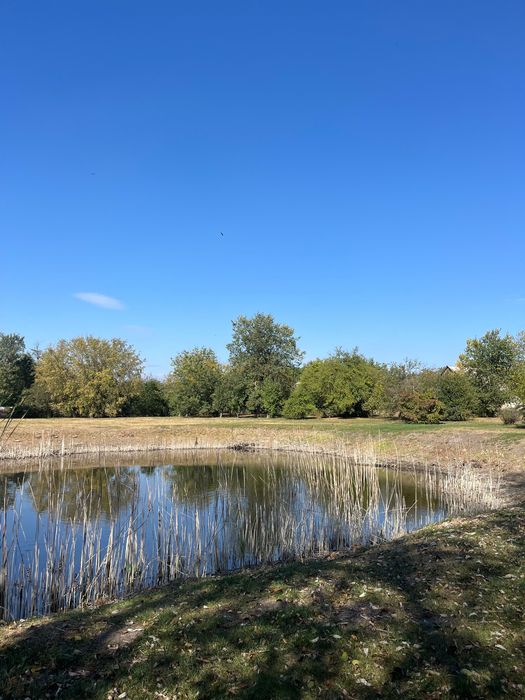 Продаж ділянки Підгірці, Обухівський район, 1.13 Га