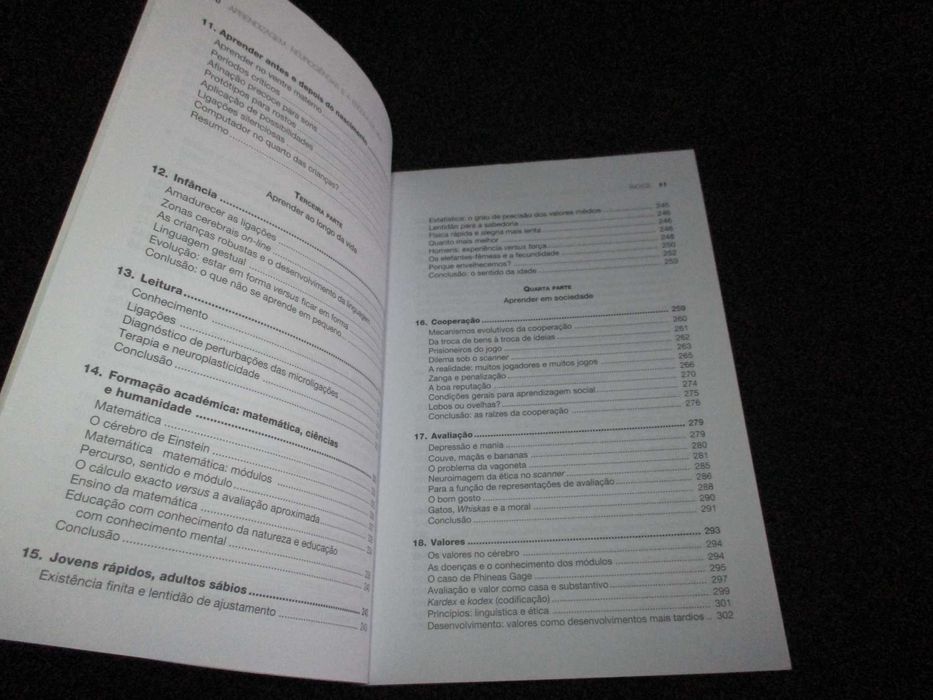 Livro Aprendizagem Neurociências e a Escola da Vida Manfred Spitzer