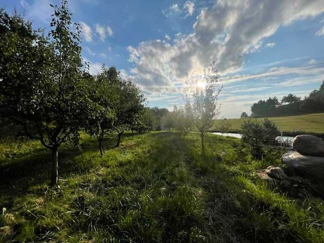 Działka z domkiem i stawami- oaza spokoju! - View 2