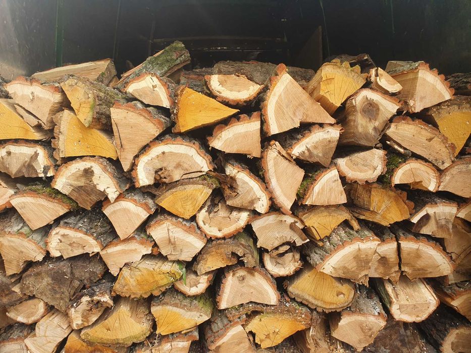 Drewno kominkowe opałowe Dab