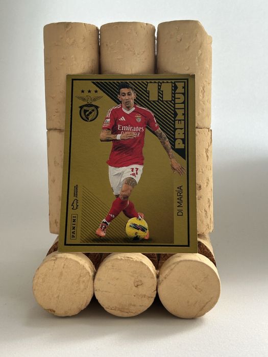 Panini Liga Portugal Betclic 2024/2025 + BIS