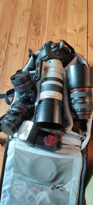 Canon Lens TS-E 24mm, EF 100-400mm i inne