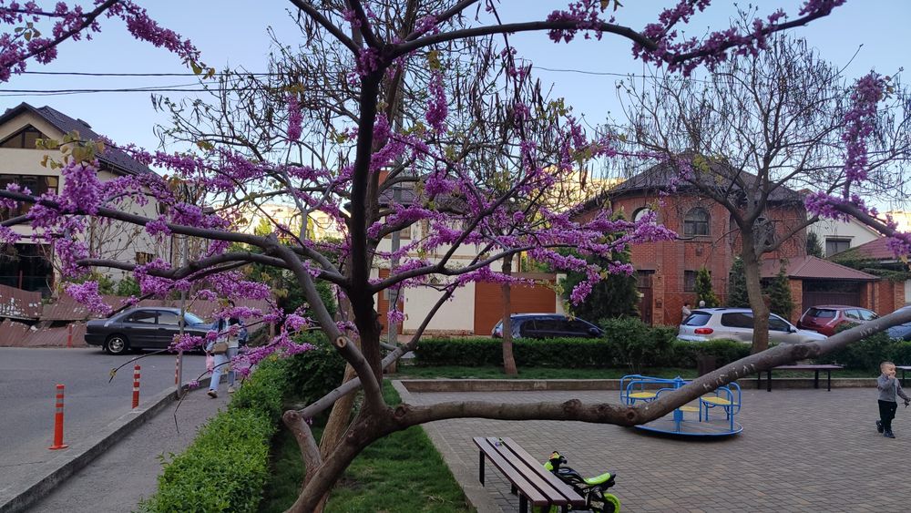 Продам ділянку на Таїрова Левітана/Небсотні/Гранітна