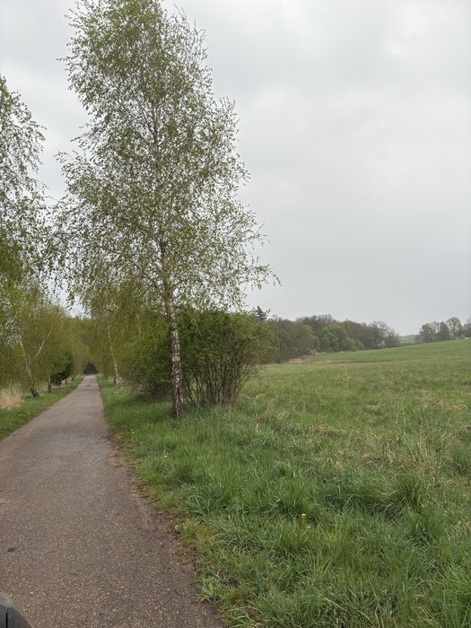 działka rolna na sprzedaż