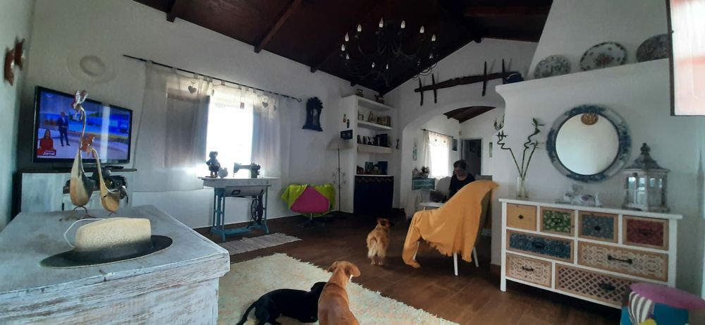 Aluga-se casa no campo