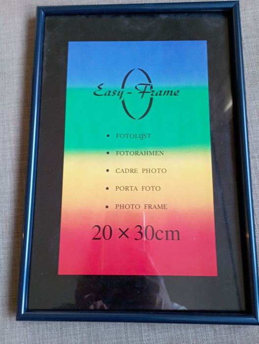 Molduras coloridas64752183701889120