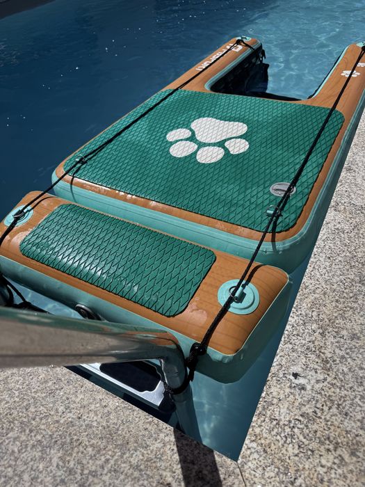 Prancha Piscina Animais