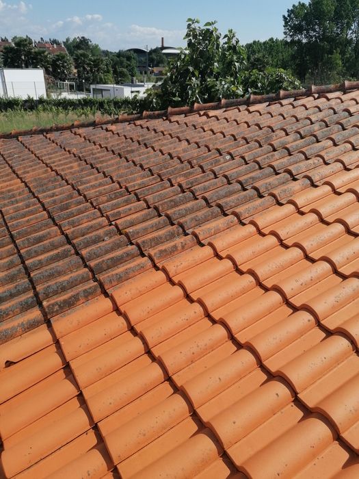 Trabalhos variados