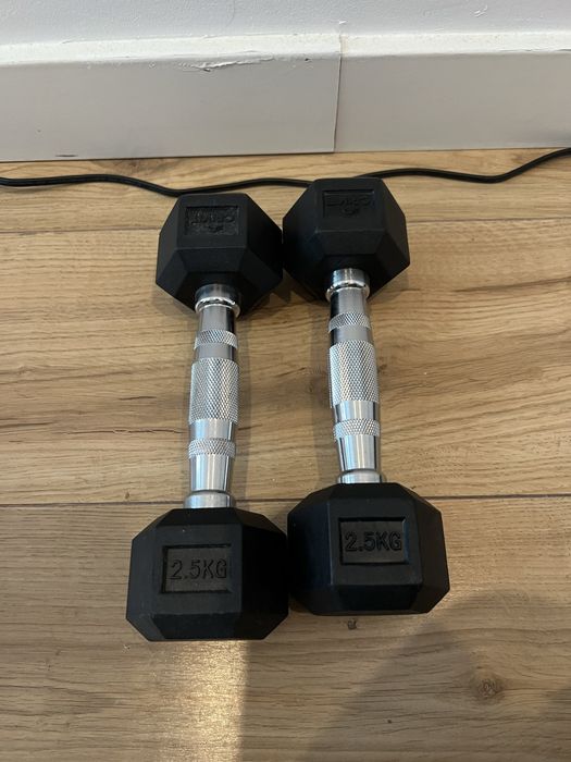 Halteres de 2,5kg par