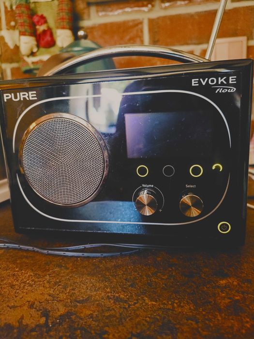 Radio Pure Evoke flou