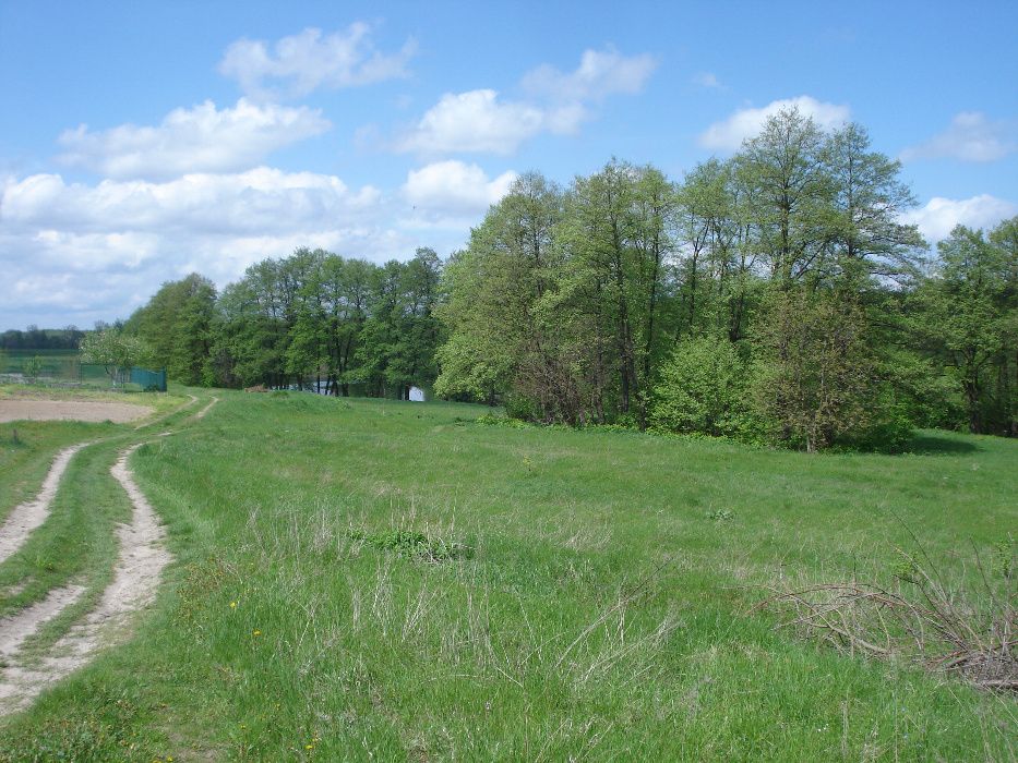 Срочно -земельный участок с постройками