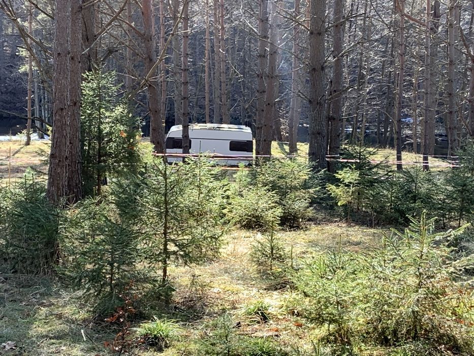 Zakole rzeki Wdy.Ostatnia działka z linią brzegową rzeki Wdy .Prąd
