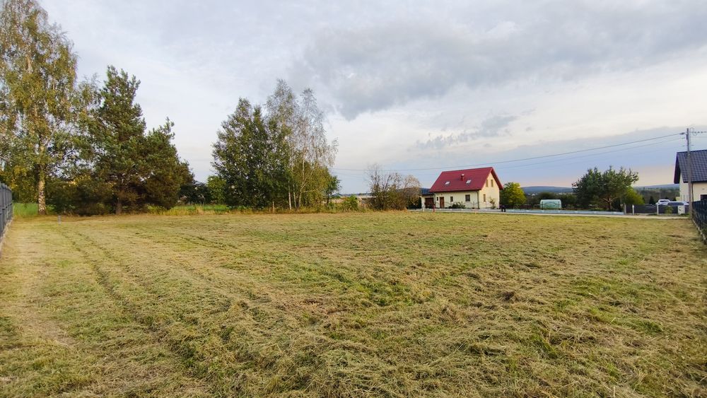 Zdjęcie 5