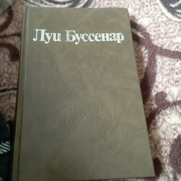 Л. Буссенар. Ледяной ад / Без гроша в кармане