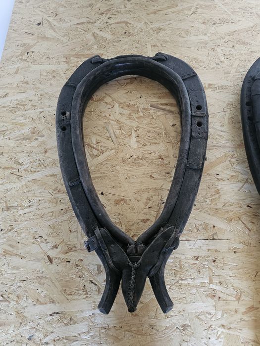 Stare homonto dla konia lub ozdoba ścienna Koszalin • OLX.pl