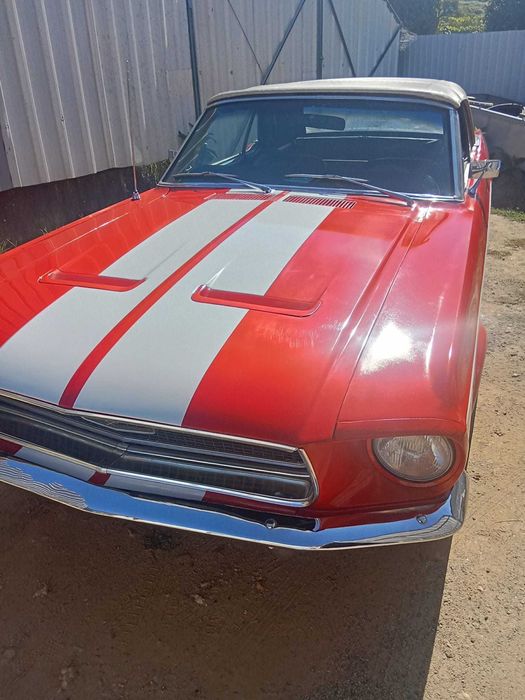Ford Mustang  V8