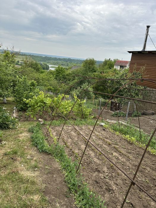 Продам дачні ділянки над річкою Збруч