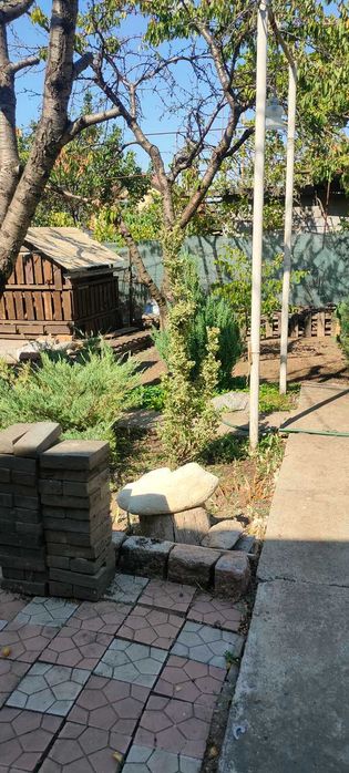 Продам дом в Холодной Балке