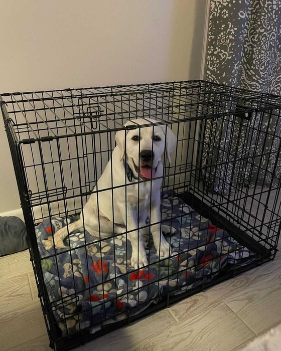 Клітка для собак ВСІ РОЗМІРИ, клетка переноска вольер для собак Польша