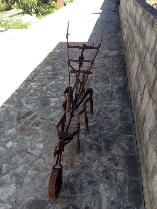 Sachador com 50 anos