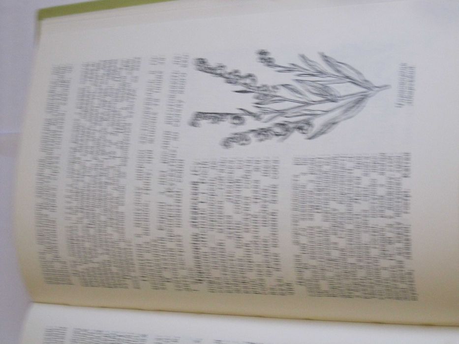 В.Комендар Лікарські рослини Карпат