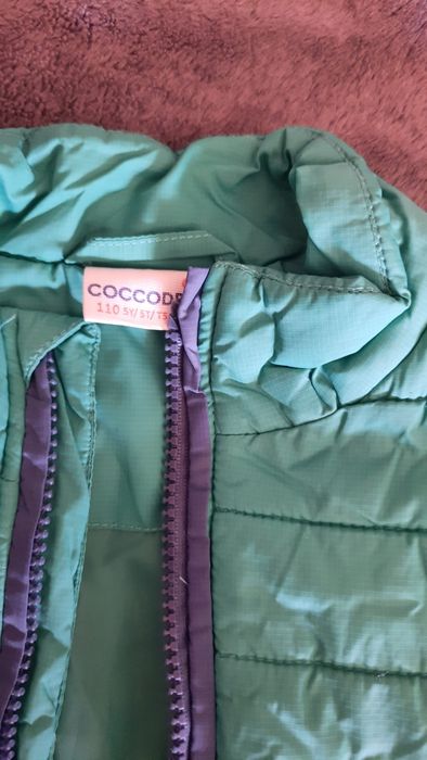 Bezrękawnik coccodrillo  r 110