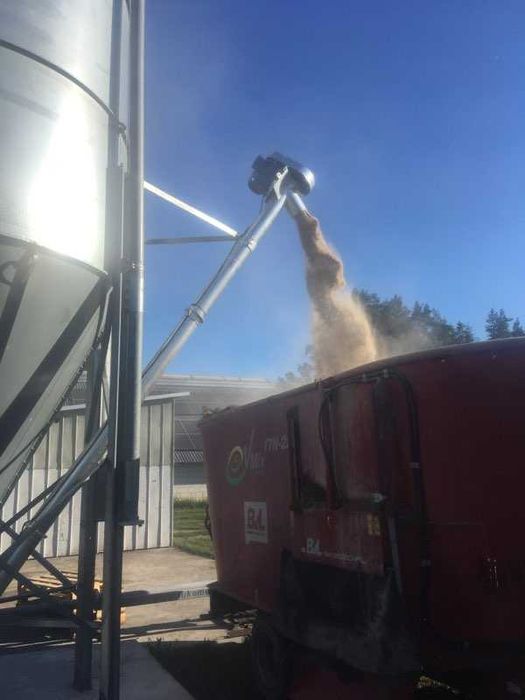 Przenośnik ślimakowy Żmijka 140 pod silosy paszowe sypiące w paszowóz