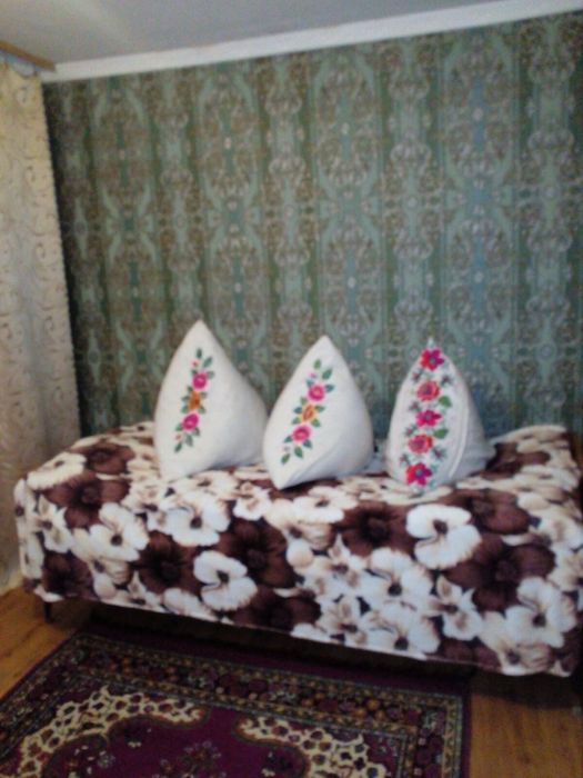 Простір і Свобода у власному домі в Приворітʼї, Брусилівський район