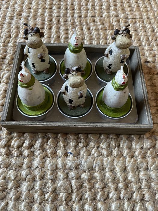 Caixa de velas animais