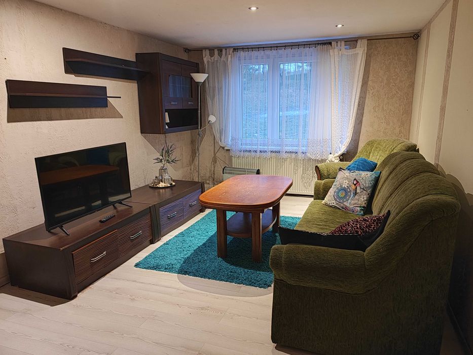 Dom w Radyni 100m2 na działce 2700m2