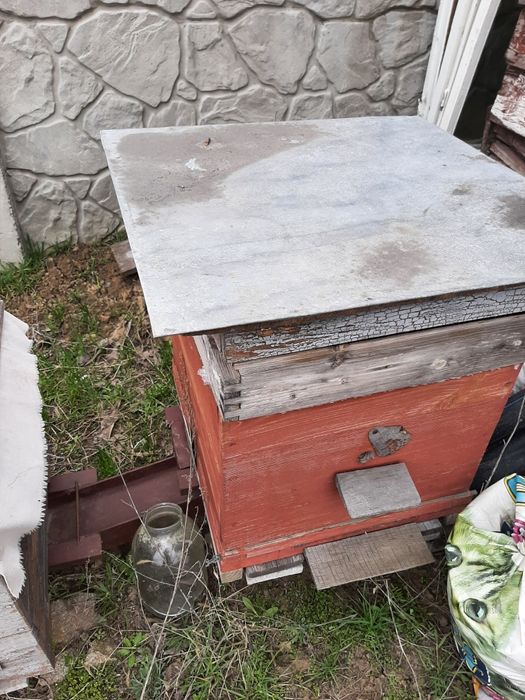 Вулики українка та ін