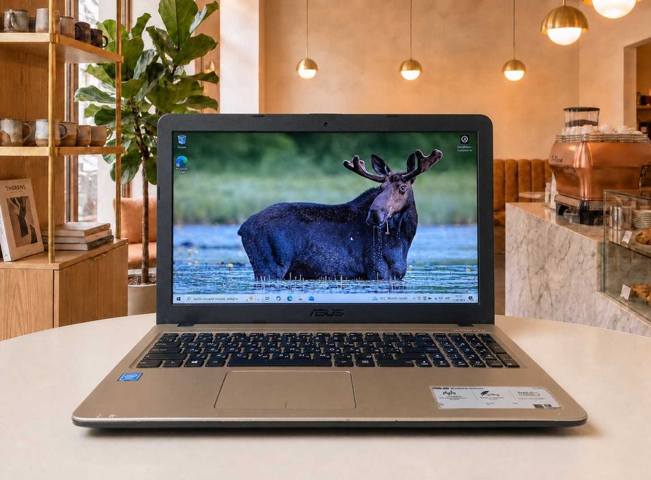 Ноутбук ASUS X540M | Celeron N4000 | RAM 4GB DDR4 | 120GB SSD | Intel HD