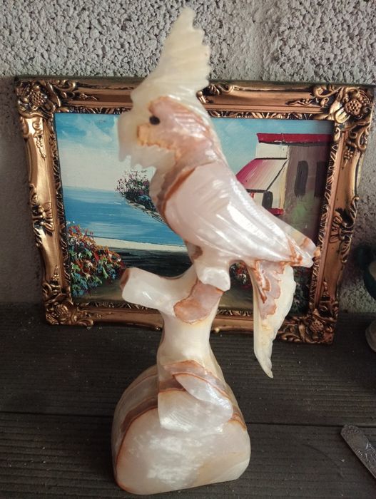 Lindas imagens de animais em pedra