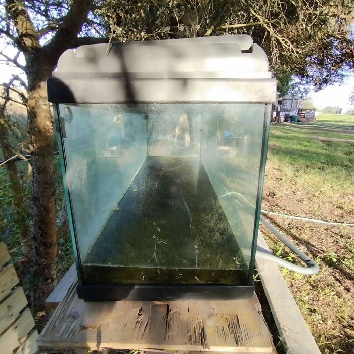 Aquario grande todo revestido l