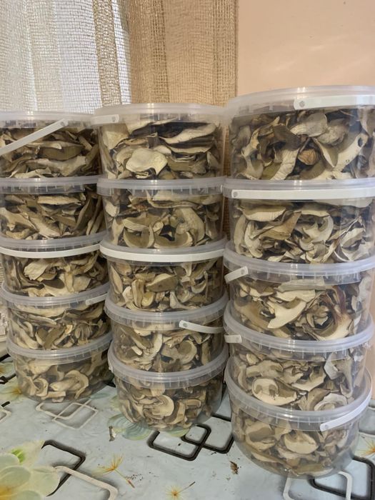 Грибочки із Закарпаття