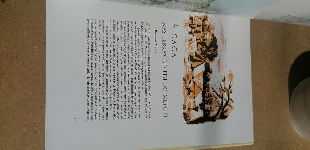 A propósito de caça. João Maria Bravo