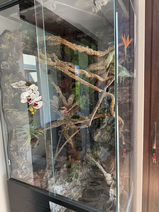 Zestaw terrarium